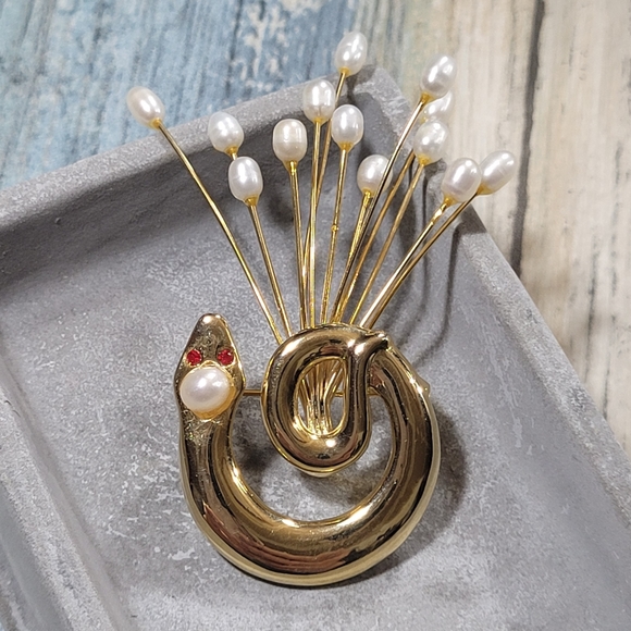 Jewelry - Snake Brooch.